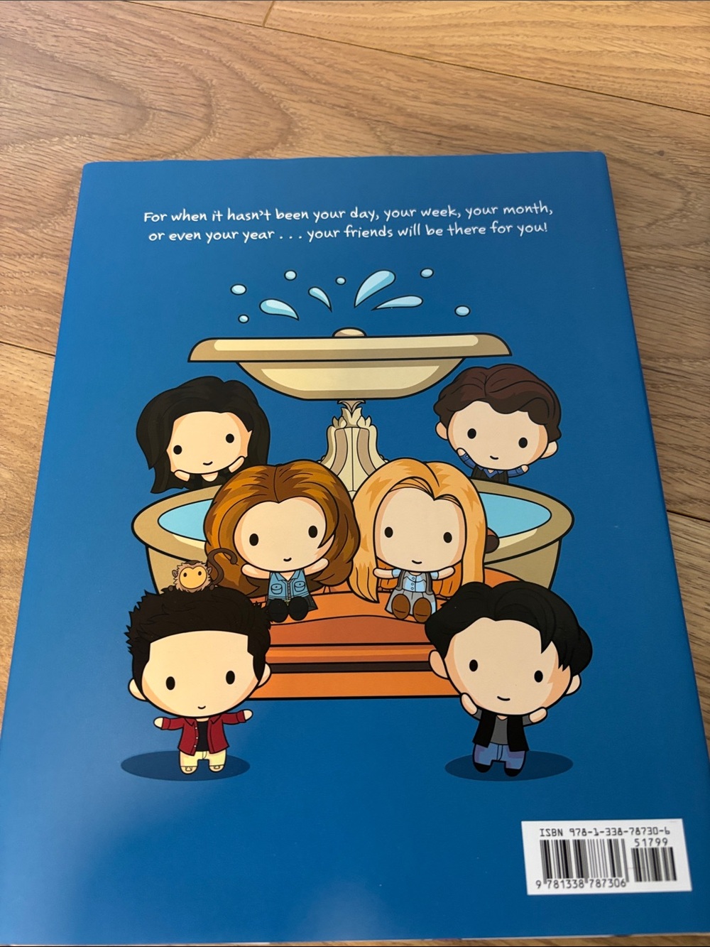 FRIENDS Book Set - Picture 11 of 13